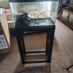 10 Gallon Fish Tank With Stand