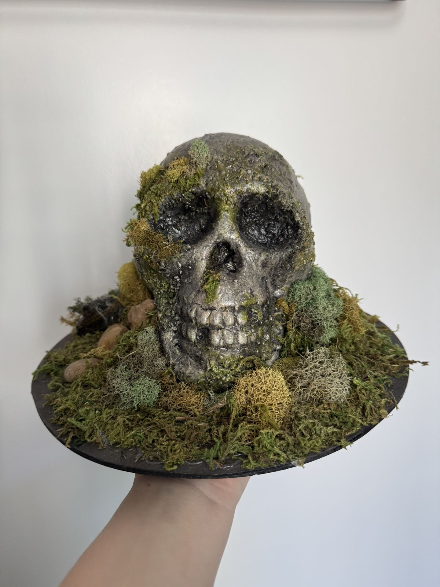 Skull Moss  Rock Sculpture: Gothic Oddities Decor