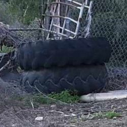 4 Tractor Tires Great For Livestock Feeders Or Trail Class Obstacles Course 25 Each 