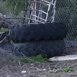 4 Tractor Tires Great For Livestock Feeders Or Trail Class Obstacles Course 25 Each NOT GOOD FOR TRACTORS