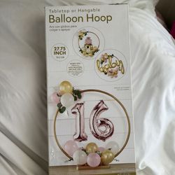 Balloon Hoop Party Decoration