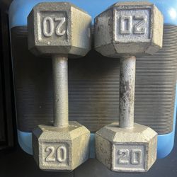 20 Lbs Dumbbells Set