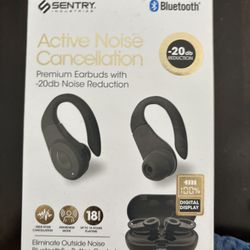 Ear Buds 