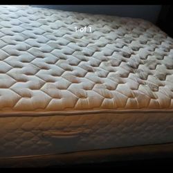 FIRM Queen Sealy Mattress