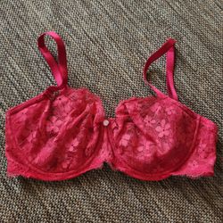 Victoria's Secret Bra Dream Angels Push Up Without Padding Red Floral Lace 36DD