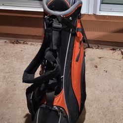 14 Golf Clubs, Golf Standing Bag, And Accessories