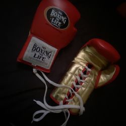 Boxing Gloves No Boxing No Life 
