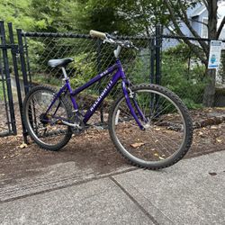 Women’s Mountain Bike