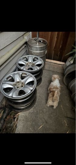 Keg Tap x3, Kegger 25 OBO