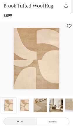 9 x 12 rug from west elm
