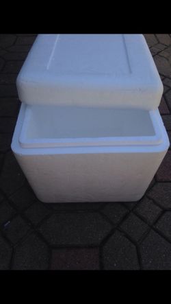 Insulated styrofoam containers