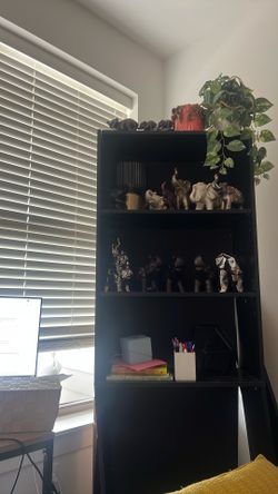 Tall black mainstay bookshelf