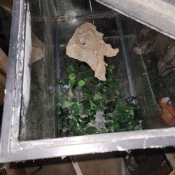 Fish tank great deal.