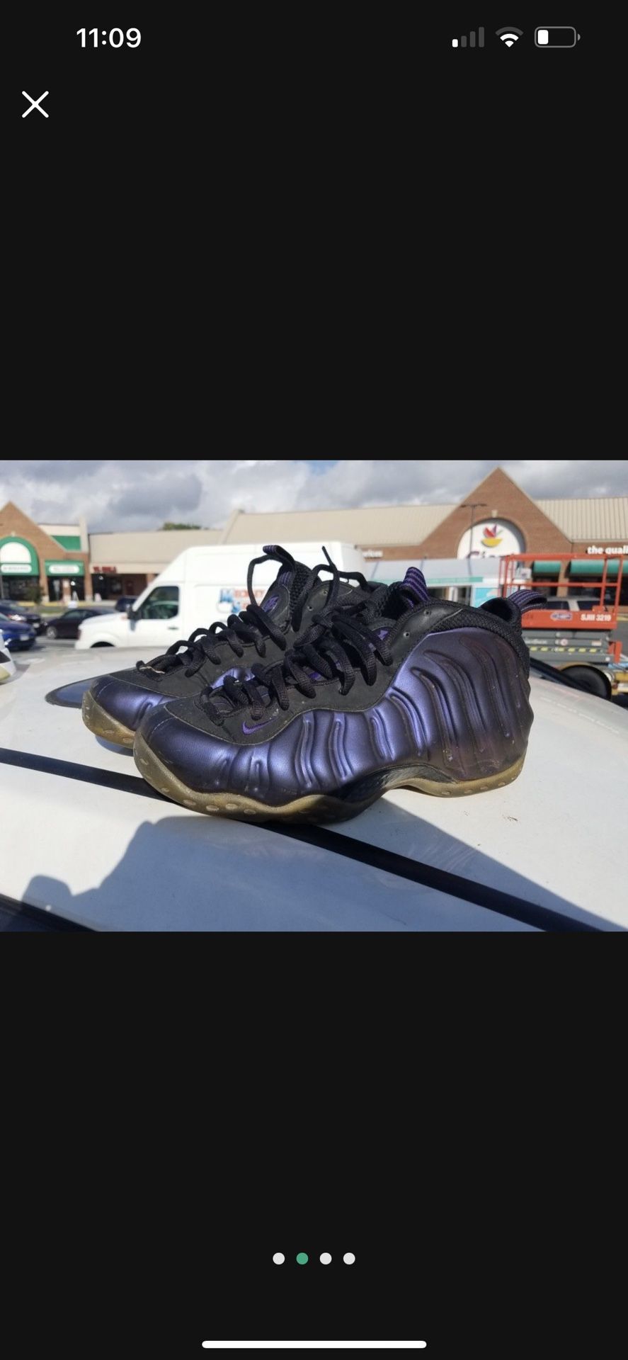 2009 Eggplants Size 9