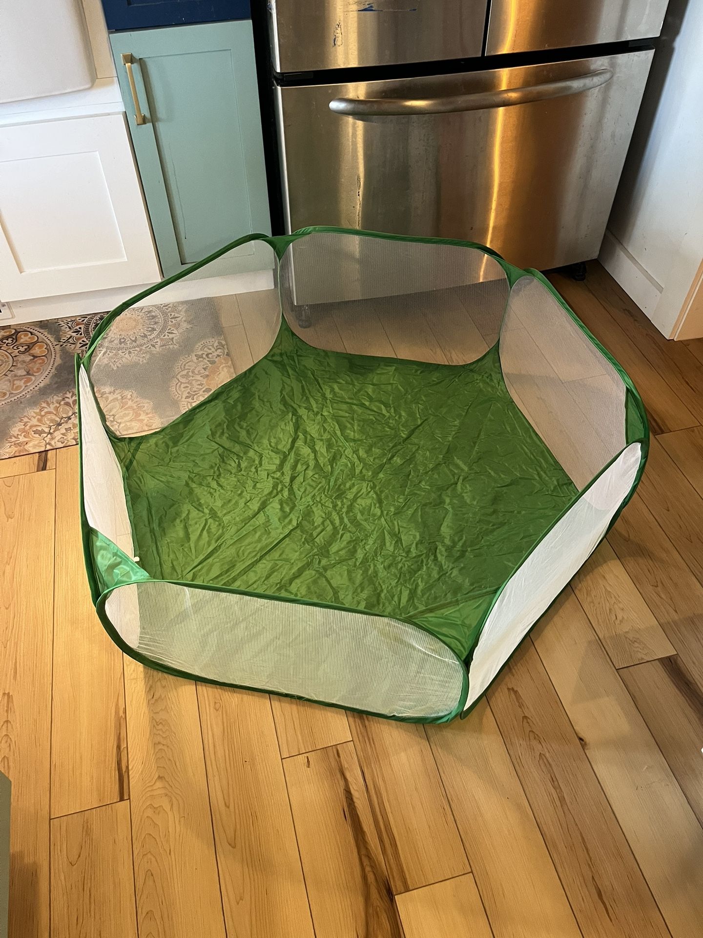 Guinea Pig Rabbit, Small Animal, Playpen