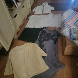 Woman's Clothing Lot Size 2X