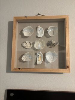Box shell Art