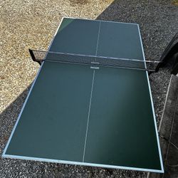 Ping Pong Table 