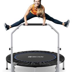 Rebounder 
