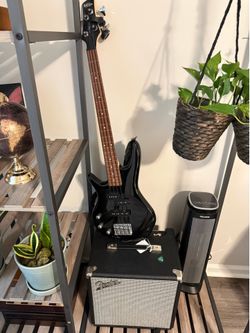 Bass guitar