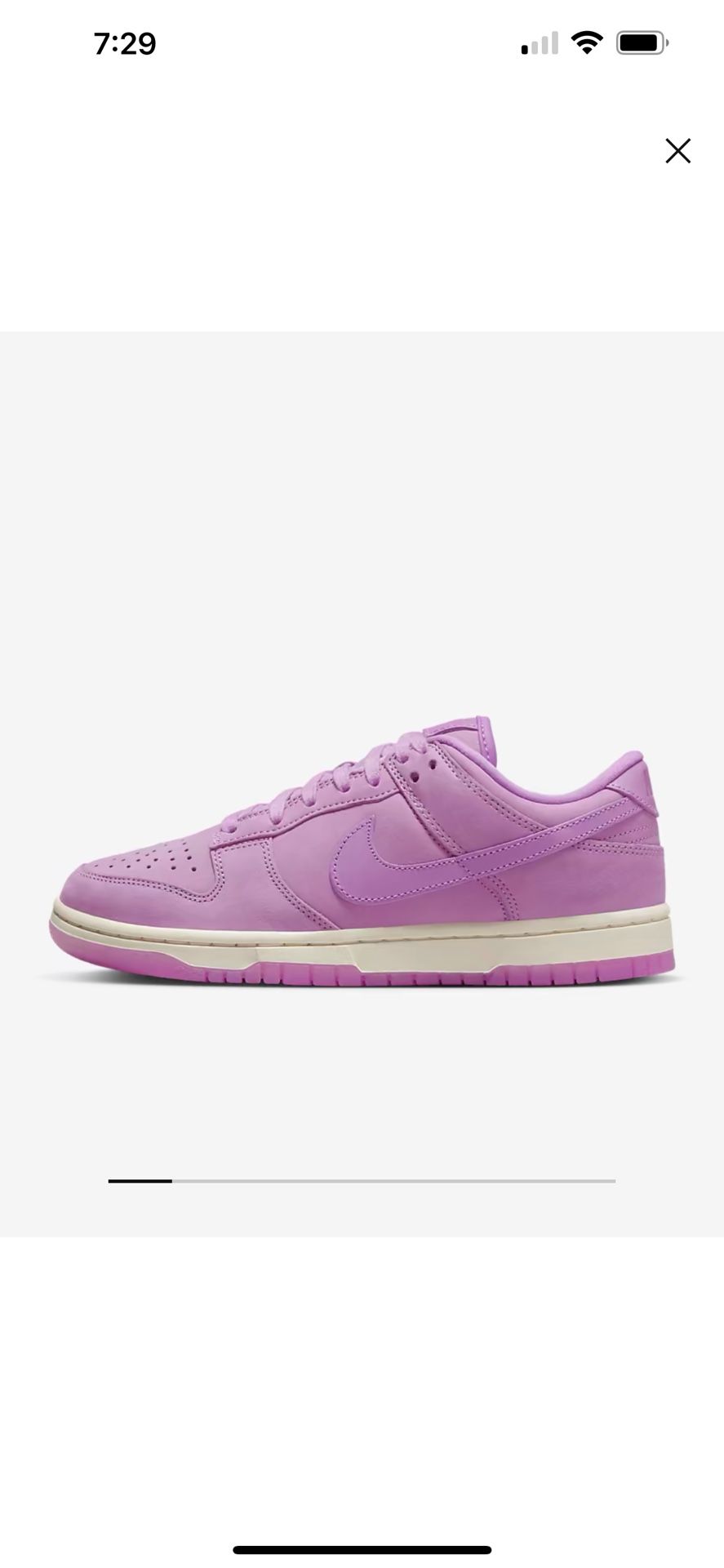 Women Brand New Nike Dunk 9.5