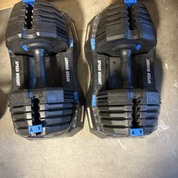 Nordictrack Adjustable Dumbbells (2)