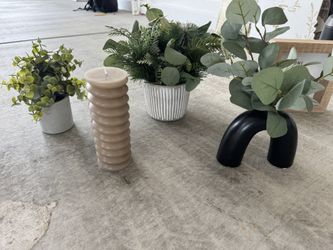 Plants