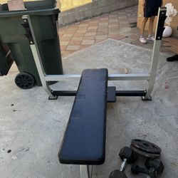 Bench Press 