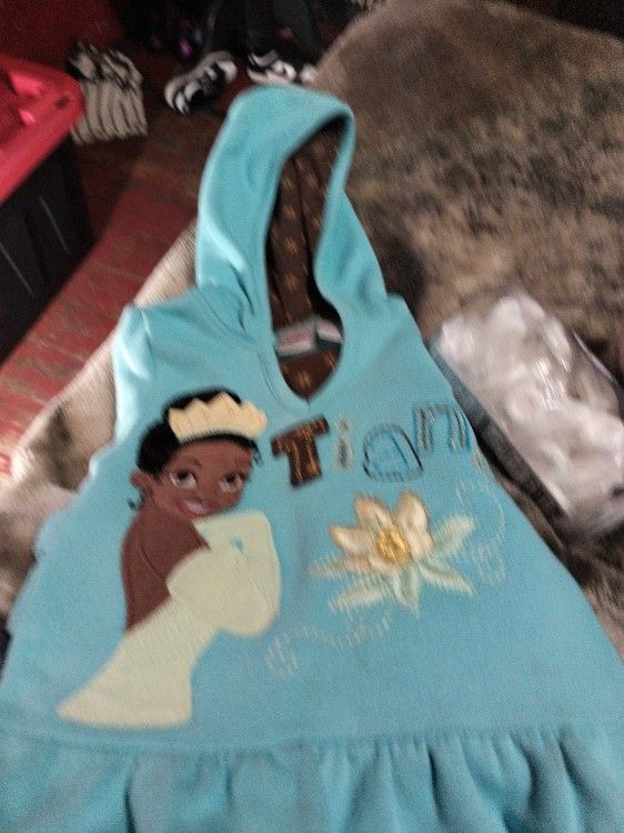 Disney Hoodie Size 2t