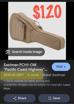 Eastman Guitar Case