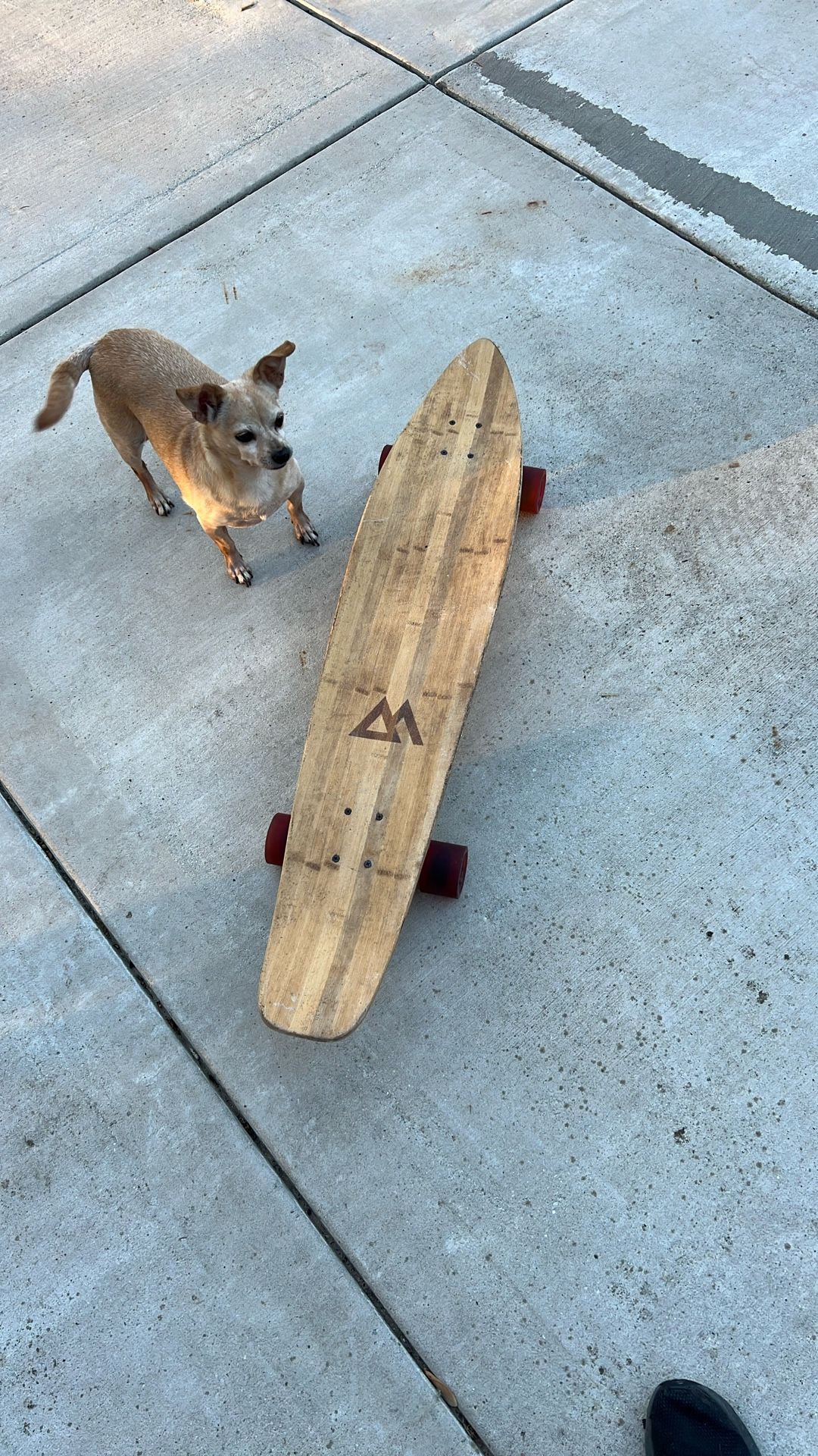 Longboard