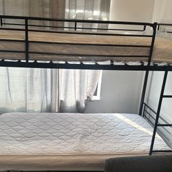Twin Bunk Bed