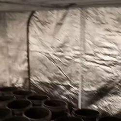 Indoor grow house, for lava rocks, or Hydro or dirt