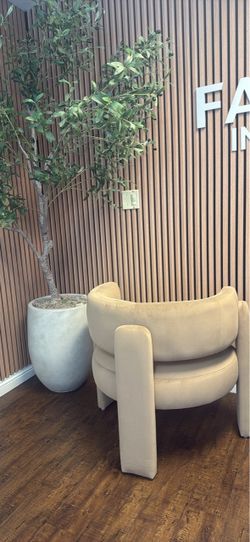 2 chairs beige