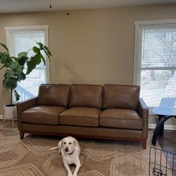 NFM Leather Couch 