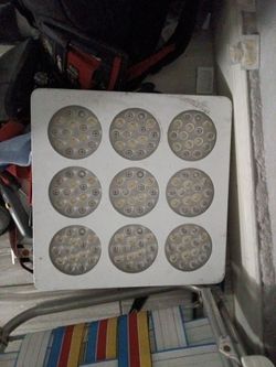 Grow light