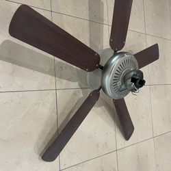 Ceiling Fan