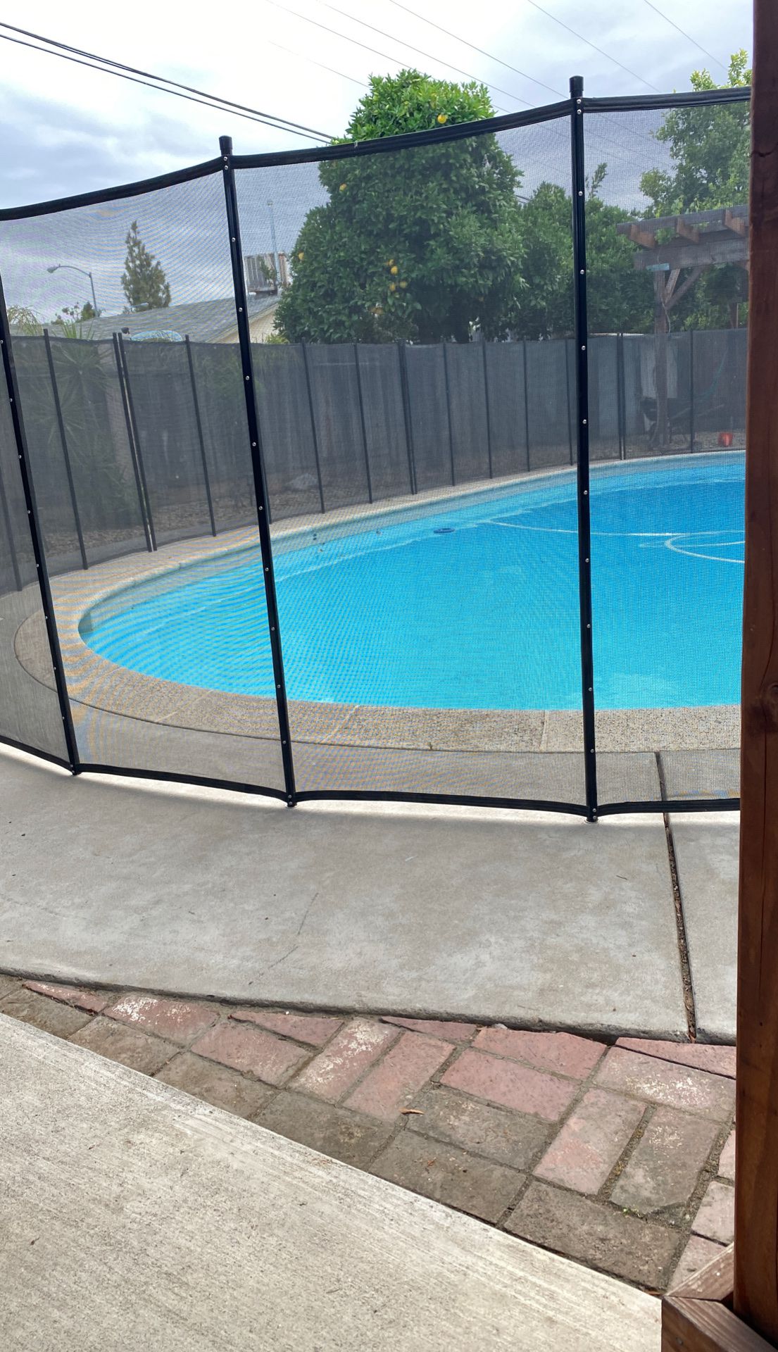 Looking to purchase pool chemicals