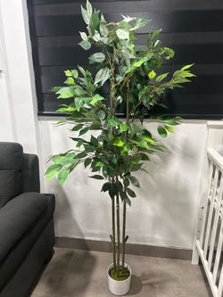 Artificial Banyan Tree