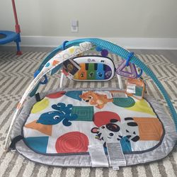 Baby Play Gym