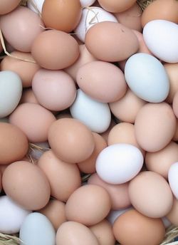 Eggs