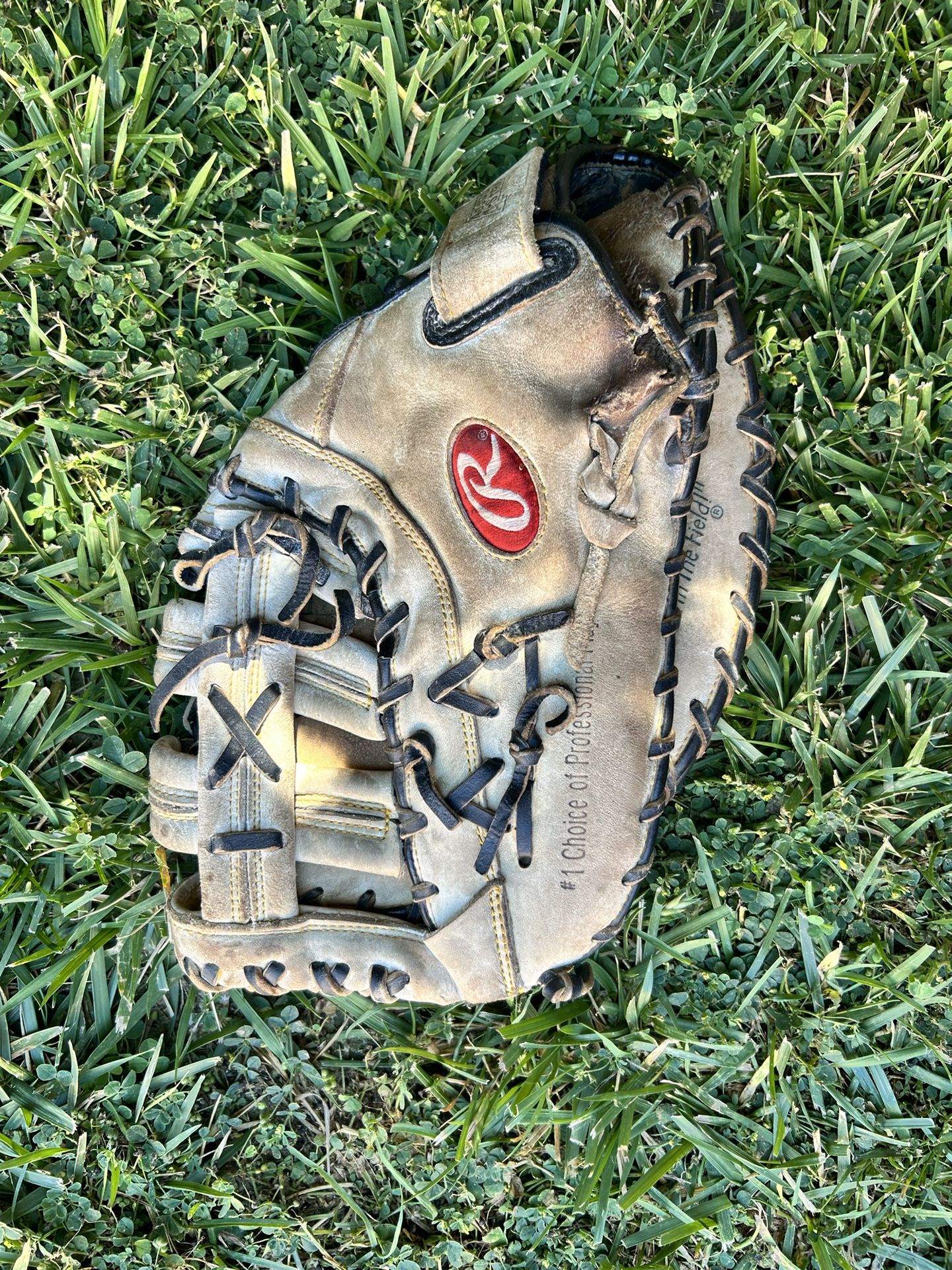 CATCHERS MITT 34.5”