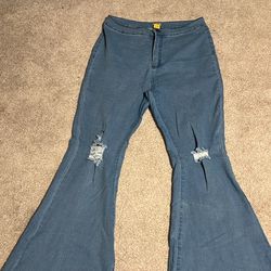 Flare Leg Pants (Size 2X)