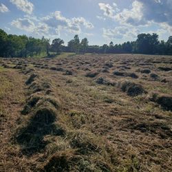 2025 Hay For Sale