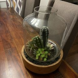 Faux Wood/glass Succulent Plant Piece 