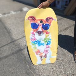 Boogie Board