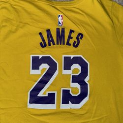 LA Lakers LeBron James Nike Dry-Fit T-Shirt Youth Large Los Angeles 
