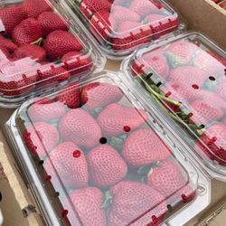 Strawberries Fresas 