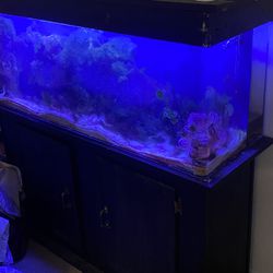 55 Gallon Uniquarium Fish Tank — Acrylic
