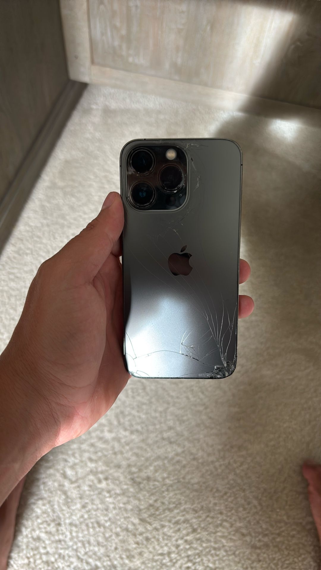 Working iPhone 13 Pro
